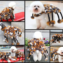 Load image into Gallery viewer, Spider Costume For Dogs - SpookyHollow