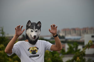 Halloween  Siberian Husky Dog Latex Mask - SpookyHollow