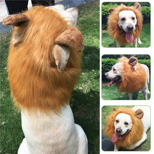 Festival Lion Headgear/Mane with Ears for Dog - SpookyHollow