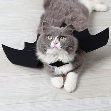 Load image into Gallery viewer, Cute Bat Wings Halloween Pet Costume - SpookyHollow