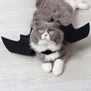 Cute Bat Wings Halloween Pet Costume - SpookyHollow