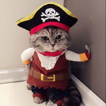 Load image into Gallery viewer, Funny Cat Halloween Costumes - SpookyHollow