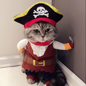 Funny Cat Halloween Costumes - SpookyHollow