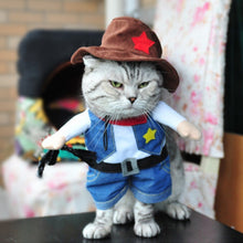 Load image into Gallery viewer, Funny Cat Halloween Costumes - SpookyHollow