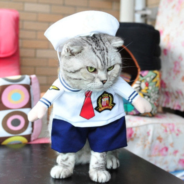 Funny Cat Halloween Costumes - SpookyHollow