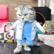 Load image into Gallery viewer, Funny Cat Halloween Costumes - SpookyHollow