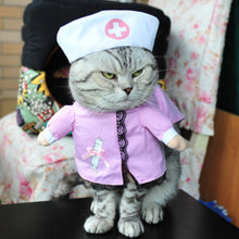 Load image into Gallery viewer, Funny Cat Halloween Costumes - SpookyHollow