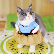 Load image into Gallery viewer, Funny Cat Halloween Costumes - SpookyHollow