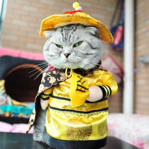 Funny Cat Halloween Costumes - SpookyHollow