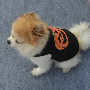 Cool Dog Halloween Vests - SpookyHollow